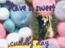 Have a sweet cuddly day 