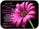Philippians4:7