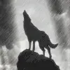 Wolf's Rain