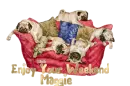 Enjoy your Weekend -Maggie 