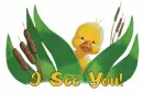 I see You!