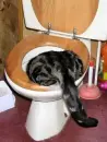 nosey kitty!