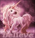 Unicorn Believe