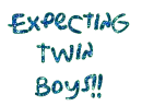 expecting twin boys
