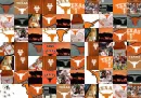 UT Longhorns Icons