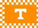 UT Vols Flag