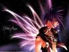 Dnangel