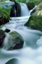 haydencreek