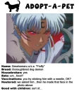 Adopt-a-pet