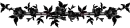 blk roses