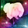 4ever urs