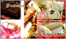 passion of the chocolate
