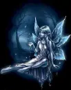 fairy