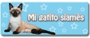 Mi gatito siames y su web
