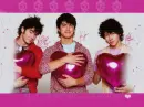Jonas Brothers Stole my Heart