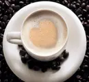 coffee lover