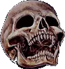 skull 