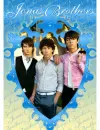 jona brothers
