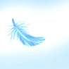 Falling feather