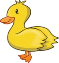 Ducky