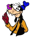 goofi