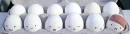 Egg Love^^