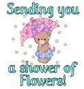 Sending you Flowers