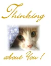Thinking About You