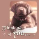 Thinking of You