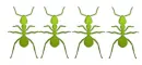 araÃ±a