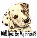 Friends?
