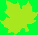 can you find the leaf?