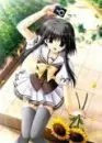 anime9