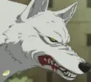 Mad Wolf