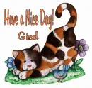 Gied