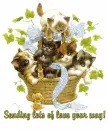 Lots of Love