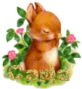 cute bunny-carla