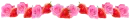 roses