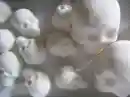 Sugar Skulls