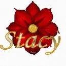 Stacy