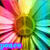 peace