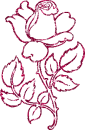 Magenta Rose