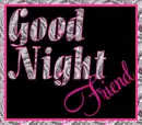 Good Night Friend