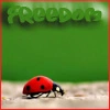 freedom