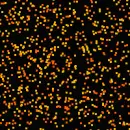 halloween confetti 2