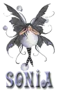 soni.fairie