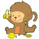 Baby monkey