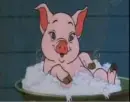 wilbur