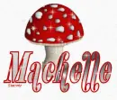 Machelle