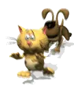 run kitty,,,run
